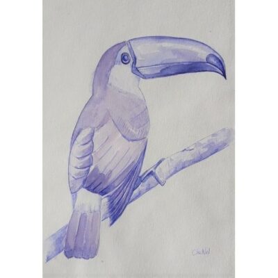 Aquarelle toucan, peinte à la main par artiste peintre CheNel, aquarelle et stylo bille