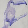 aquarelle 21 x 29.7 cm, représentant un toucan perché sur une branche. L'aquarelle est peinte en bleu outremer et soutenue par du stylo bille violine. CheNel artiste peintre Bretonne et Française, œuvre d'art originale et unique