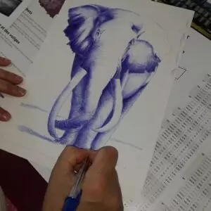 Cours de dessin peinture à Montauban de Bretagne, Bédée, Saint Gilles 35, Breteil et autour de Rennes.