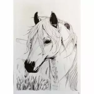 Cours de dessin et peinture pour enfants et adolescents à Bédée, Montauban-deBretagne, Saint-Gilles, Breteil, autour de Rennes. Cours de dessin cheval et chevaux