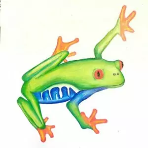 Cours de dessin et peinture pour enfants et adolescents à Bédée, Montauban-deBretagne, Saint-Gilles, Breteil, autour de Rennes. Apprendre à dessiner les animaux
