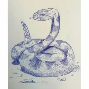 Cours de dessin et peinture pour enfants et adolescents à Bédée, Montauban-deBretagne, Saint-Gilles, Breteil, autour de Rennes. Dessin d'un serpent au stylo bille bleu