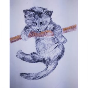 stage été dessin peinture - colo dessin peinture